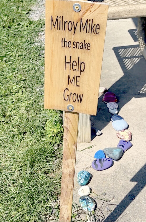 ‘Milroy Mike’ rocks Armagh Township News, Sports, Jobs The Sentinel